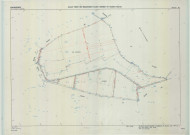 Saint-Remy-en-Bouzemont-Saint-Genest-et-Isson (51513). Section ZE échelle 1/2000, plan remembré pour 1985, plan régulier (calque)