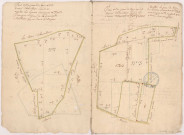 Arpentages de plusieurs pièces de terre et prés situés sur les terroirs d'Hauvillers, Champillon, Epernay appartenant à Messieurs les religieux, lieu-dit « Les limons » 1753.