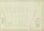 Lavannes (51318). Section Y2 échelle 1/2000, plan remembré pour 1950, plan régulier (papier).