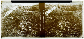 Verdun. Cadavre français (n°870).