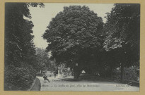 CHÂLONS-EN-CHAMPAGNE. Le jardin du Jard. Allée des marronniers.Coll. N. D. Phot