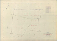 Châtelraould-Saint-Louvent (51134). Section ZE échelle 1/2000, plan remembré pour 1966, plan régulier (papier armé)