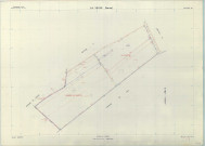 Veuve (La) (51617). Section YH échelle 1/2000, plan remembré pour 1983 (extension sur Juvigny W et D), plan régulier (papier armé)