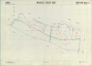 Matignicourt-Goncourt (51356). Section ZB échelle 1/2000, plan remembré pour 1979 (extension sur Orconte section ZN), plan régulier (papier armé)