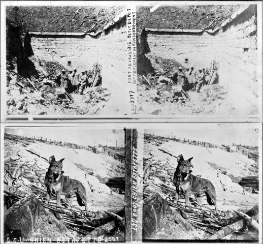 Vaux-Devant-Damloup. Fort de Vaux 1916. Petit dépôt, commencement du bombardement (vue 1). Chien estafette (vue 2)