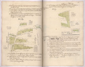 Arpentages et plans de pièces de bois appartenant à l'abbaye Saint-Thierry sur le terroir de Trigny (1791)