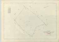 Châtelraould-Saint-Louvent (51134). Section ZH échelle 1/2000, plan remembré pour 1966, plan régulier (papier armé)