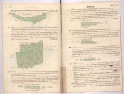 Arpentages et plans de bois sur le terroir de Cormicy, lieux-dits le fond lava, la grande place, la Culée de Vuarival, le tournant des petites places, derrier Visin (1756)