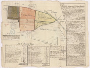 Plan du canton appelé La Naue Chevalier et cantons voisins sur le terroir de Bezannes (1778)