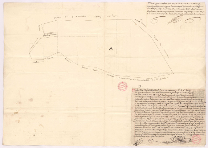 Plan de deux coupes de bois au-dessus de St Basle à Sept-Saulx (5 et 7 janvier 1671), Hazart
