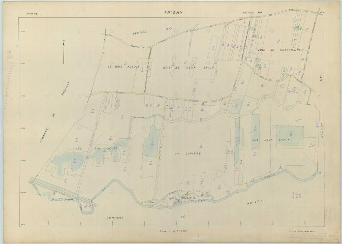 Trigny (51582). Section AN échelle 1/2000, plan renouvelé pour 1962, plan régulier (papier armé).