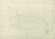Fresne (Le) (51260). Section ZM échelle 1/2000, plan remembré pour 1968, plan régulier (papier armé)