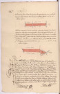 Plans et arpentages de pièces de vignes au terroir de Chigny : une pièce au lieudit les Basses Pruches et une autre lieudit au Leuches (1788), Villain