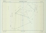 Montgenost (51376). Section ZM échelle 1/2000, plan renouvelé pour 01/01/1964, régulier avant 20/03/1980 (calque)