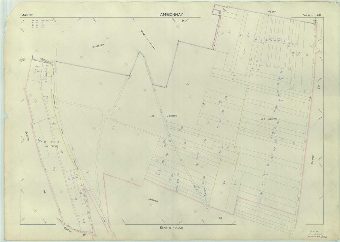 Ambonnay (51007). Section AP échelle 1/1000, plan renouvelé pour 1965, plan régulier (papier armé).