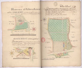 Plans détaillés des hameaux de Villers-Allerand : plan de la Chaladrie (n° 165) , plan de Montchenot, 1ère partie (n° 166 et 167) , plan de Montchenot, 2ème partie (n° 168 à 171) (1781), Dominique Villain