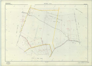 Vienne-la-Ville (51620). Section ZL échelle 1/2000, plan remembré pour 1977 (extension sur Berzieux ZL), plan régulier (papier armé)