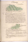 Arpentages et plans de pièces de bois appelés le Bois d'Eclisse et le Bois de Liermont sur le terroir de Chaumuzy (1757)