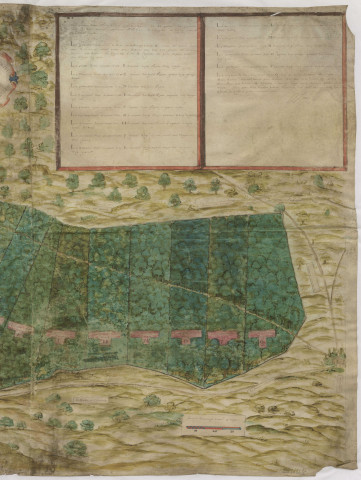 Plan des bois d'Ecueil (1631), La Joye