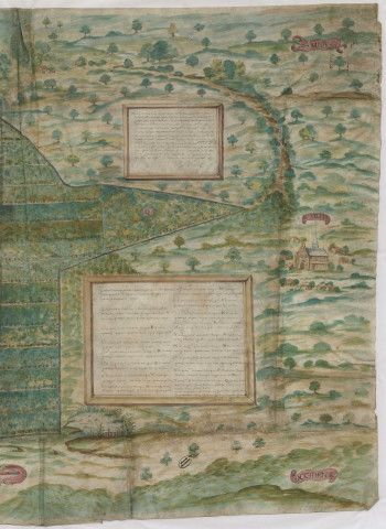 Plan des bois de Buisson-le-Comte (1633), Nicolas La Joye