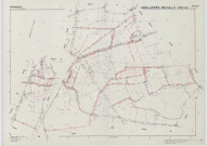 Arzillières-Neuville (51017). Section ZL échelle 1/2000, plan remembré pour 1988, plan régulier (calque)