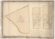Arpentage et plan figuratif des trois cantons de bois dépendants de la grurie de Vienne le Chatel appartenant à Madame de Lorainne Delbeuf, an 2.