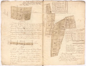 Plans terriers. Terres de Meuse-en-Bassigny et de Pouilly-en-Bassigny, 1772. Lieudit : "Bois Lambert", "Bouraut".