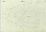 Suippes (51559). Section ZS 2 échelle 1/2000, plan remembré pour 1969, plan régulier (papier armé)