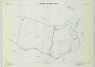 Neuville-aux-Bois (La) (51397). Section YB échelle 1/2000, plan remembré pour 1980 (remembrement de Rémicourt), plan régulier (calque)