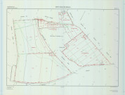 Vert-Toulon (51611). Section YC échelle 1/2000, plan remembré pour 2009, plan régulier (calque)