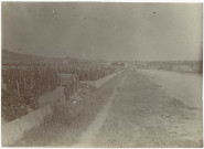 AY. Vue du vignoble