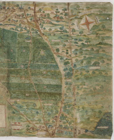 Plan des bois de la Fontaine-à-l'Aulne (1633), Nicolas La Joye