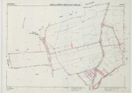 Arzillières-Neuville (51017). Section ZH échelle 1/2000, plan remembré pour 1988 (extension sur Blaise-sur-Arzillières ZB), plan régulier (calque)