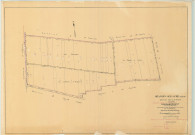 Granges-sur-Aube (51279). Section X1 échelle 1/2000, plan remembré pour 01/01/1954, régulier avant 20/03/1980 (papier)