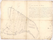 Plan carte figurative d'un Canton de bois appartenant aux habitants et communauté de Maurupt, 1734.