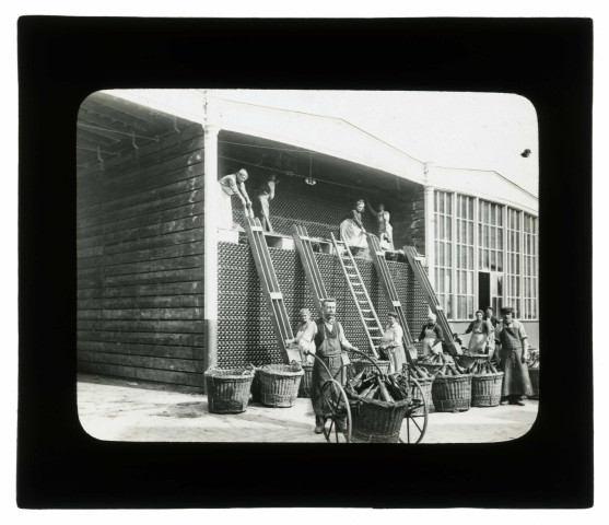 Sas de bouteilles pour le rinçage / Fs Rothier