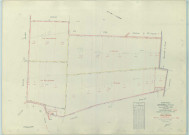 Baconnes (51031). Section ZH échelle 1/2000, plan renouvelé pour 1960, plan régulier (papier armé).