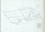 Saint-Thierry (51518). Section Z1 échelle 1/2000, plan remembré pour 1955, plan régulier (papier).