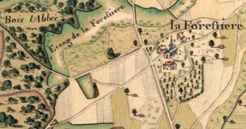 Détail d'un plan de la forêt de Traconne, 1761 (16 Fi 11)