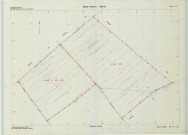 Beine-Nauroy (51046). Section ZM échelle 1/2000, plan remembré pour 1988, plan régulier de qualité P5 (calque).