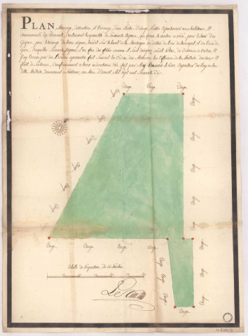 Plan, mesurage distraction et bornage d'une partie d'usages pastis appartenant aux habitants et communauté de Verneuil, 1770.