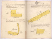 Arpentages et plans de pièces de terre sur le terroir de Chaumuzy, lieux-dits la Blonde, le Tournant et les torturoyes (1757)