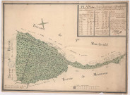 Plan des bois communaux de Chaudefontaine dont moitié appartient au collège des Bons enfans de l'université de Reims l'autre moitié appartenant aux habitants, 1791.