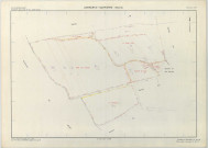 Dommartin-Dampierre (51211). Section ZM échelle 1/2000, plan remembré pour 1979, plan régulier (papier armé)