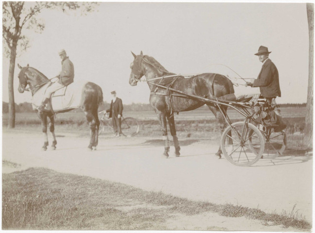 Course hippique, 1901