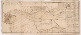 Abbaye de Notre Dame de Cheminon. Topographie de l'étang Forgeot appartenant à l'abbaye de Cheminon mis à sec et en nature de pré 1709.