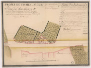 Route n° 31 de Rouen à Paris. Projet de Fismes. Plan du fauxbourg de la ville de Fismes dit faubourg de Paris sur lequel est tracé en jaune l'allignement de la nouvelle chaussée, 1767.