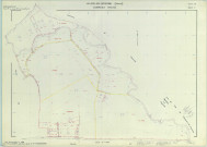 Villers-en-Argonne (51632). Section ZB 2 échelle 1/2000, plan remembré pour 1988 (extension sur Châtrice section D), plan régulier (papier armé)