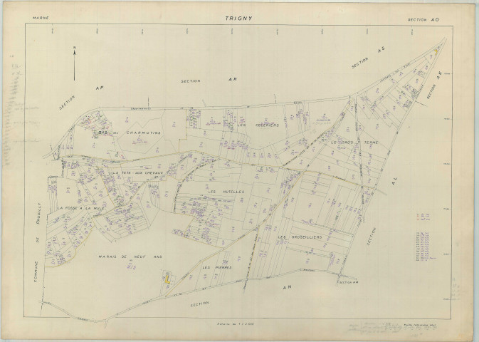 Trigny (51582). Section AO échelle 1/2000, plan renouvelé pour 1962, plan régulier (papier armé).