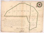 Plan du bois Saint Jean appartenant à Messieurs les chanoines de Laville de Vertus, 1759.
